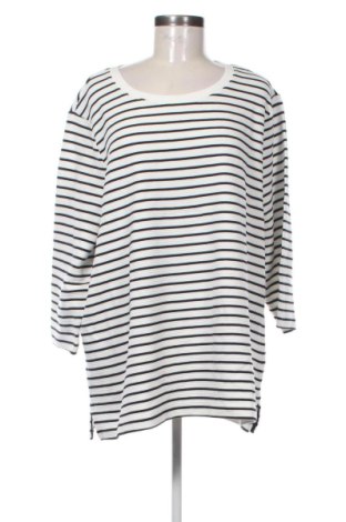 Damen Shirt Brax, Größe 3XL, Farbe Mehrfarbig, Preis 11,99 €, #136713550