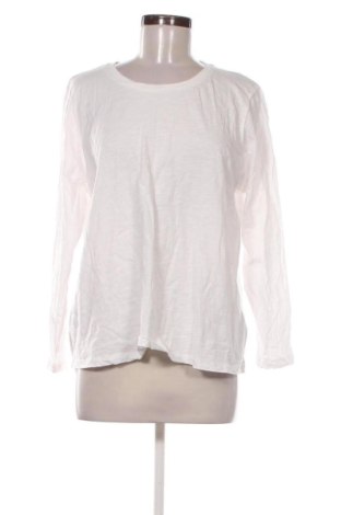 Bluzka damska Culture, Rozmiar XXL, Kolor Biały, Cena 54,99 zł, #136699572