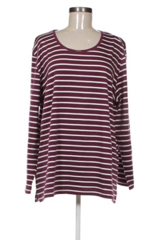 Bluzka damska Pima Cotton, Rozmiar M, Kolor Kolorowy, Cena 51,99 zł, #136692201