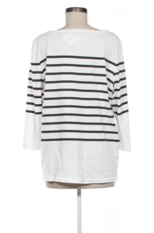 Bluzka damska Street One, Rozmiar XXL, Kolor Kolorowy, Cena 91,99 zł