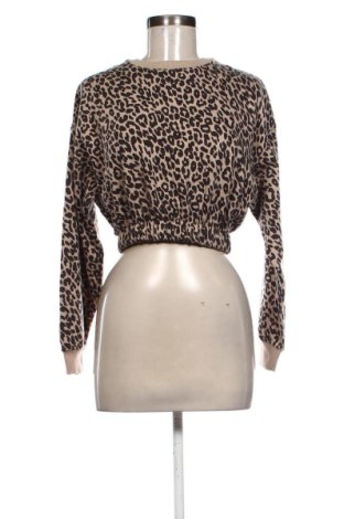 Damen Shirt Terranova, Größe XS, Farbe Mehrfarbig, Preis 4,99 €, #136695661