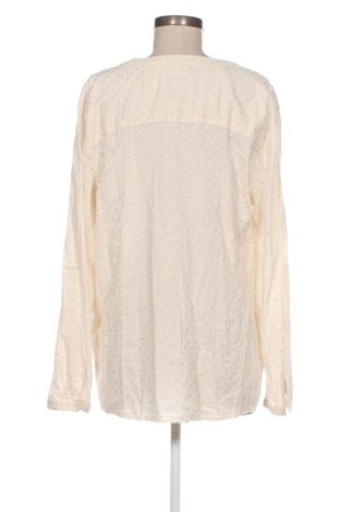 Damen Shirt Tom Tailor, Größe XL, Farbe Mehrfarbig, Preis 22,99 €