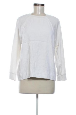 Damen Shirt Massimo Dutti, Größe L, Farbe Weiß, Preis 26,99 €, #136707790