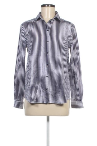 Damenbluse Paul & Shark, Größe XL, Farbe Mehrfarbig, Preis 34,99 €, #136733601