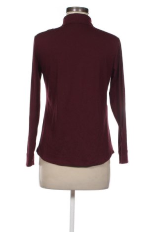 Damenbluse Pittarello, Größe S, Farbe Rot, Preis € 16,99