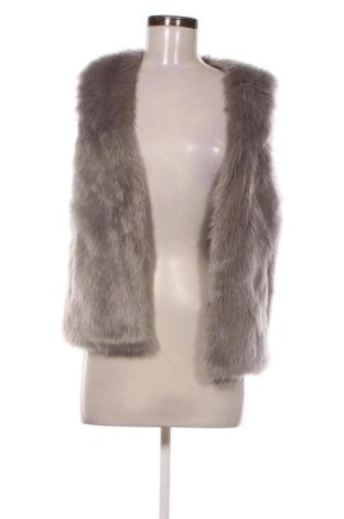 Vestă de femei Oasis, Mărime XS, Culoare Gri, Preț 165,26 Lei, #136700198