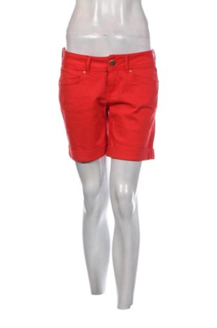 Damen Shorts Xside, Größe L, Farbe Rot, Preis 9,78 €, #136665317