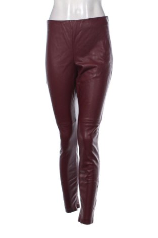 Damskie spodnie Esprit, Rozmiar XL, Kolor Czerwony, Cena 91,09 zł, #136753193