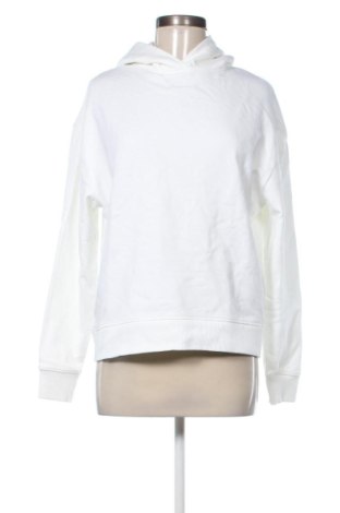 Damen Sweatshirt Calvin Klein, Größe S, Farbe Weiß, Preis 127,99 €