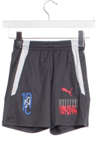 Παιδικό κοντό παντελόνι PUMA, Μέγεθος 8-9y/ 134-140 εκ., Χρώμα Γκρί, Τιμή 13,81 €, #136680988