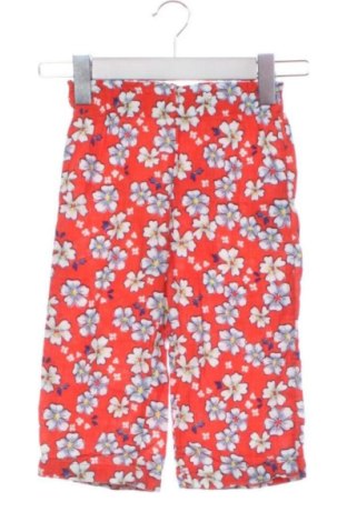 Dětské kalhoty  LCW, Velikost 2-3m/ 56-62 cm, Barva Vícebarevné, Cena  312,00 Kč, #136700008
