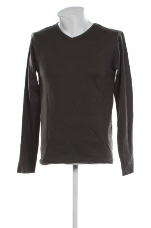 Herren Shirt Watson's, Größe L, Farbe Grün, Preis 17,99 €, #136697424