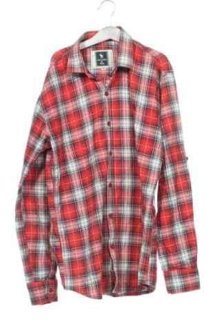 Herrenhemd Abercrombie & Fitch, Größe M, Farbe Mehrfarbig, Preis 14,99 €, #136708271