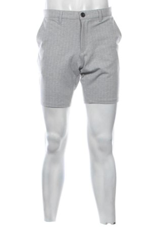 Herren Shorts Denim Project, Größe L, Farbe Mehrfarbig, Preis 17,00 €, #136714913