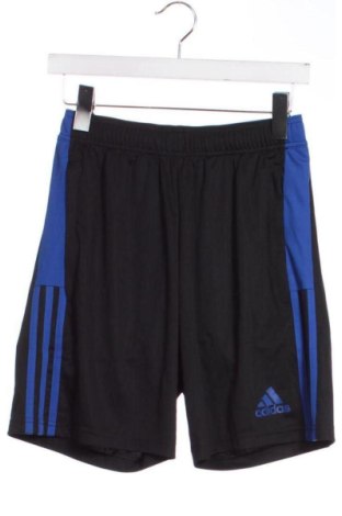 Herren Shorts Adidas, Größe XS, Farbe Schwarz, Preis 51,99 €, #136681044