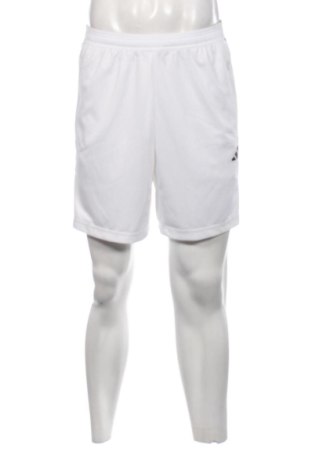 Pánske kraťasy  Adidas, Veľkosť L, Farba Biela, Cena  17,00 €, #136682133