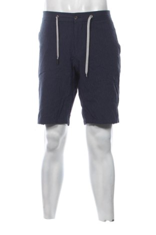 Herren Shorts Teodor, Größe L, Farbe Mehrfarbig, Preis 17,00 €, #136696321