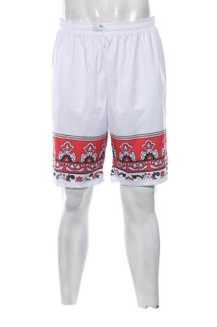 Herren Shorts Unbranded, Größe L, Farbe Mehrfarbig, Preis 15,00 €, #136701060