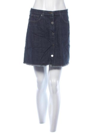 Φούστα Massimo Dutti, Μέγεθος L, Χρώμα Μπλέ, Τιμή 31,99 €, #136732754