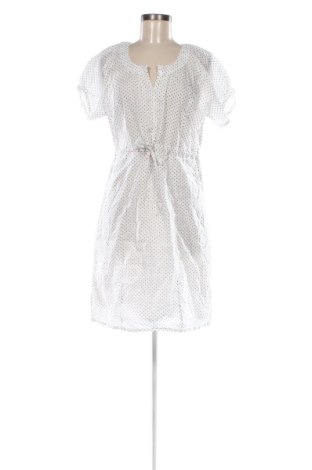 Kleid Brandtex, Größe XL, Farbe Mehrfarbig, Preis 25,99 €, #136709655