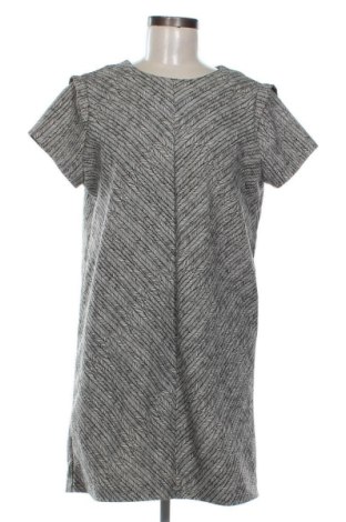 Φόρεμα Zara, Μέγεθος XL, Χρώμα Πολύχρωμο, Τιμή 11,99 €, #136733777