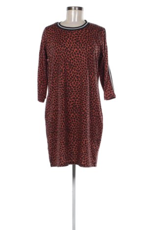Kleid Zeeman, Größe XL, Farbe Mehrfarbig, Preis 19,97 €, #136754059