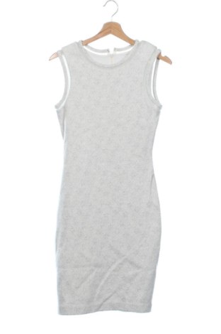 Rochie 19.70 Nineteen Seventy, Mărime S, Culoare Gri, Preț 233,99 Lei, #136757732