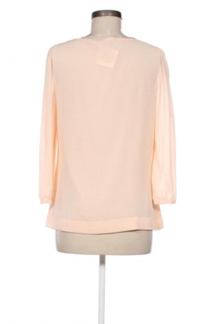 Damen Shirt Mexx, Größe S, Farbe Orange, Preis € 2,99