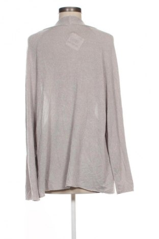 Γυναικεία ζακέτα Betty Boop, Μέγεθος S, Χρώμα Γκρί, Τιμή 1,99 €