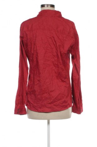 Dámska košeľa  Cecil, Veľkosť M, Farba Viacfarebná, Cena  1,95 €