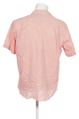 Herrenhemd Angelo Litrico, Größe L, Farbe Mehrfarbig, Preis € 3,99