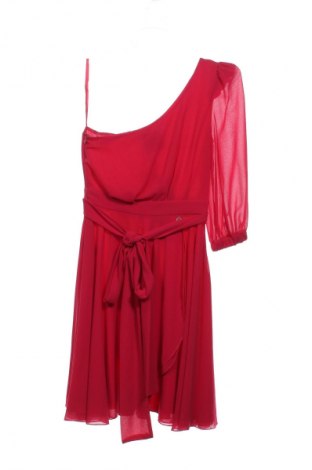 Φόρεμα Pinko, Μέγεθος S, Χρώμα Ρόζ , Τιμή 57,99 €