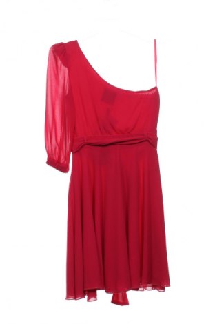 Φόρεμα Pinko, Μέγεθος S, Χρώμα Ρόζ , Τιμή 57,99 €