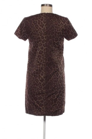 Kleid Unbranded, Größe M, Farbe Mehrfarbig, Preis 1,99 €