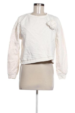 Bluzka damska Motivi, Rozmiar XXL, Kolor ecru, Cena 44,99 zł, #136758857