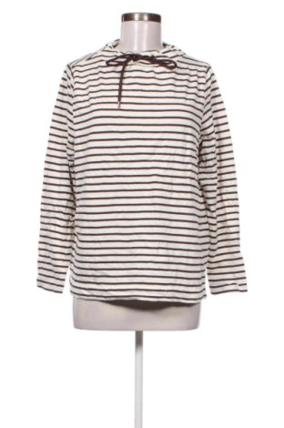 Damen Shirt Cecil, Größe L, Farbe Mehrfarbig, Preis 10,99 €, #136760468