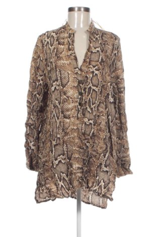 Damen Shirt Piazza Italia, Größe XL, Farbe Mehrfarbig, Preis 8,99 €, #136779364