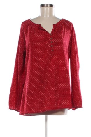 Damen Shirt Via Cortesa, Größe XL, Farbe Mehrfarbig, Preis 5,99 €, #136793247