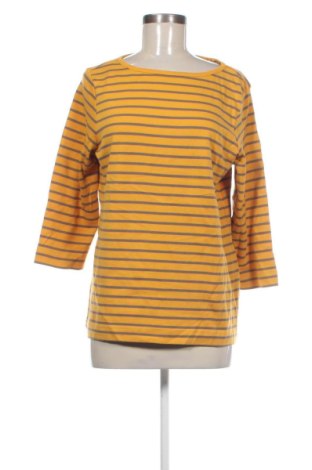 Bluzka damska Adagio, Rozmiar L, Kolor Kolorowy, Cena 63,99 zł, #136795004