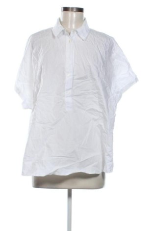 Damen Shirt Mayerline, Größe 3XL, Farbe Weiß, Preis 13,99 €, #136788191