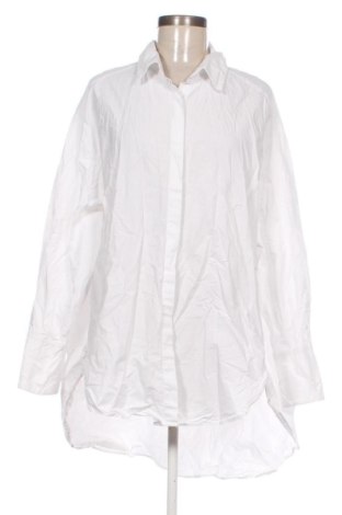 Damenbluse Zara, Größe M, Farbe Weiß, Preis 10,00 €, #136815751