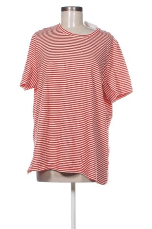 Damski T-shirt Tchibo, Rozmiar XL, Kolor Kolorowy, Cena 43,99 zł, #136855704