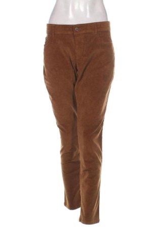 Pantaloni de velvet de femei Unbranded, Mărime XL, Culoare Maro, Preț 47,99 Lei, #136816981