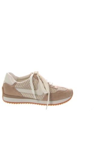 Damenschuhe Dolce Vita, Größe 36, Farbe Mehrfarbig, Preis 104,99 €, #136853036