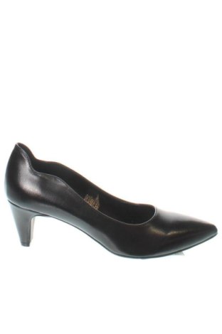 Dámské boty  Obsel, Velikost 37, Barva Černá, Cena  509,00 Kč, #136820546