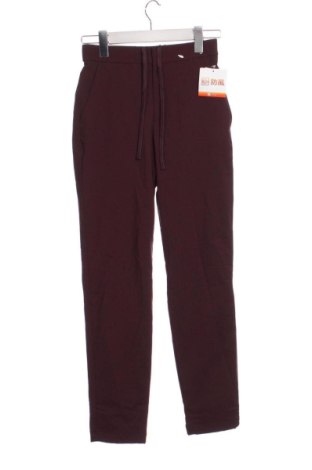 Damenhose Unbranded, Größe XS, Farbe Lila, Preis 8,99 €, #136864719
