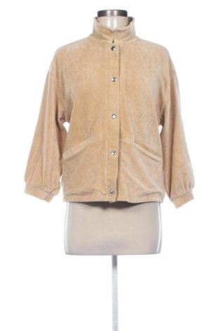 Damenjacke MSCH, Größe XL, Farbe Beige, Preis 43,00 €, #136798113