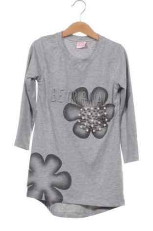 Παιδική μπλούζα Unbranded, Μέγεθος 6-7y/ 122-128 εκ., Χρώμα Γκρί, Τιμή 5,99 €, #136789976