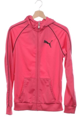 Dziecięca sportowa bluza PUMA, Rozmiar 15-18y/ 170-176 cm, Kolor Różowy, Cena 70,99 zł, #136682282