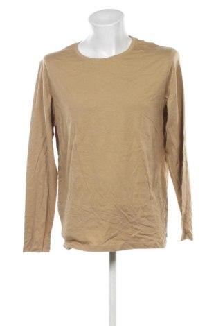 Męska bluzka Unbranded, Rozmiar L, Kolor Beżowy, Cena 35,99 zł, #136857681